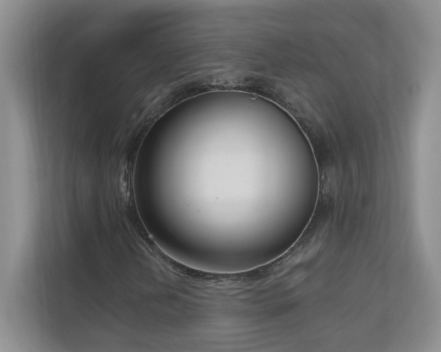 X0000111181202200907011403