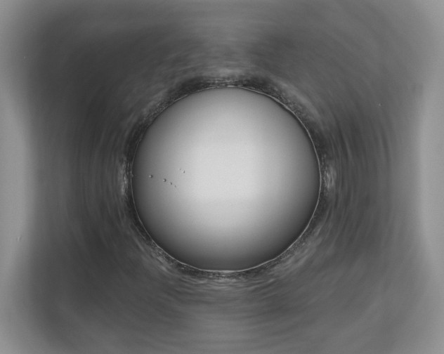 X0000111181204200907011403