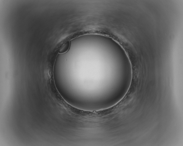 X0000111181206200907011403