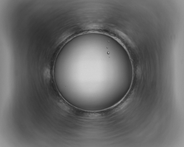 X0000111181209200907011403