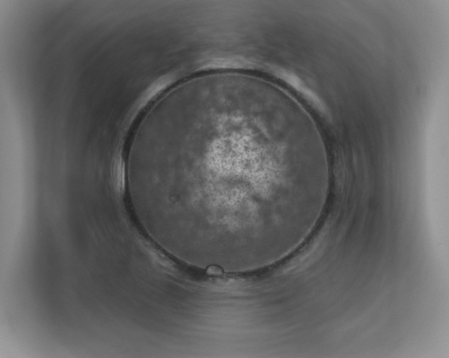 X0000111181221200907011403