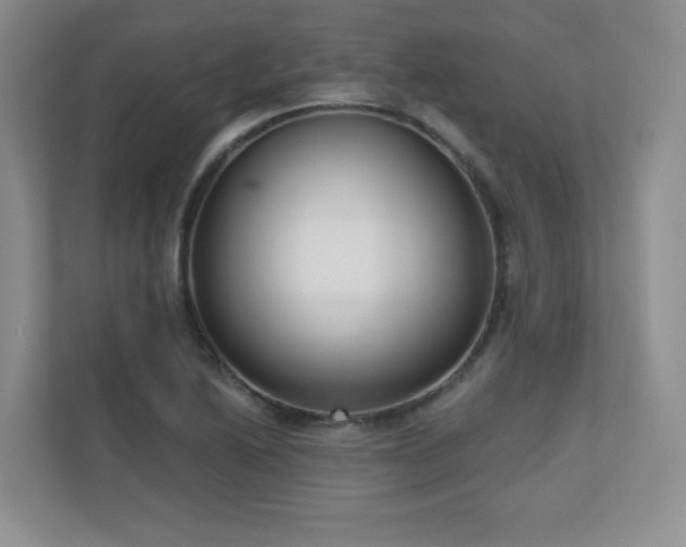 X0000111181222200907011403