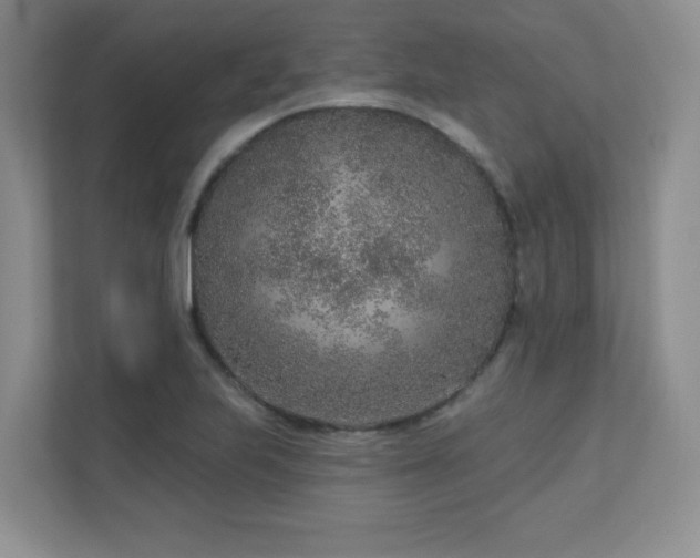 X0000111181223200907011403