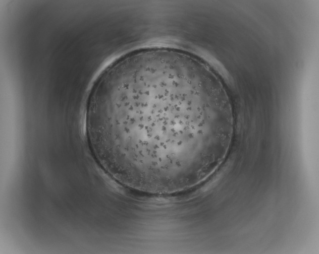 X0000111181224200907011403