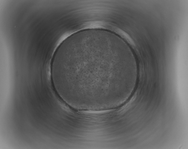 X0000111181226200907011403