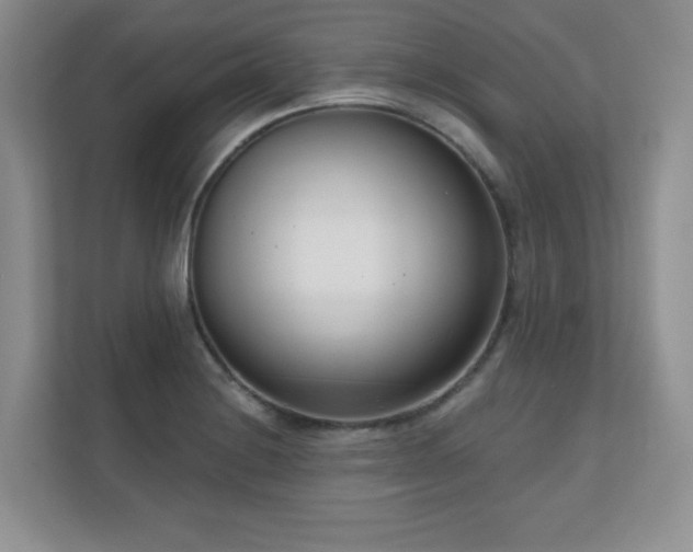 X0000111181228200907011403