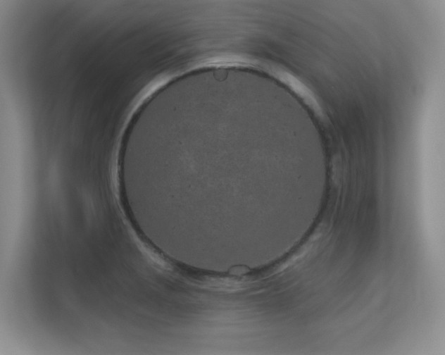 X0000111181229200907011403