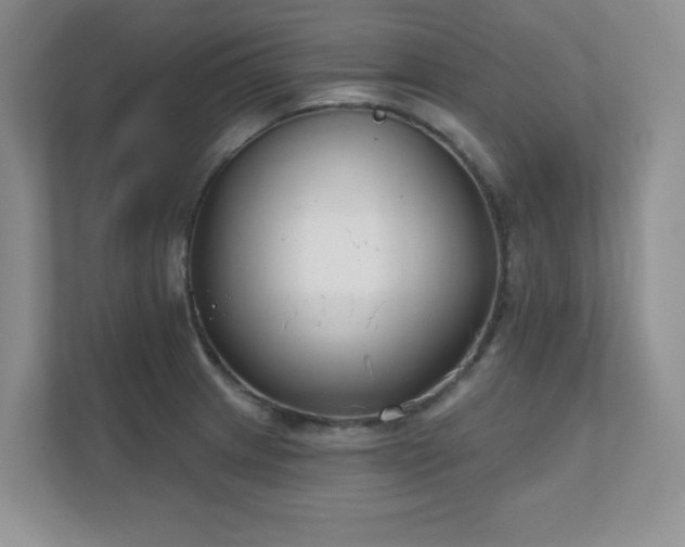X0000111181233200907011403