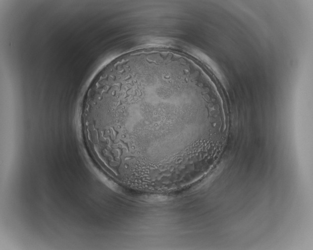 X0000111181235200907011403