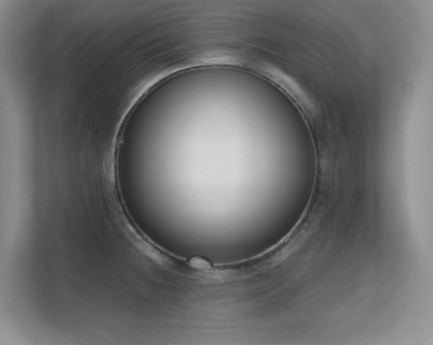 X0000111181236200907011403