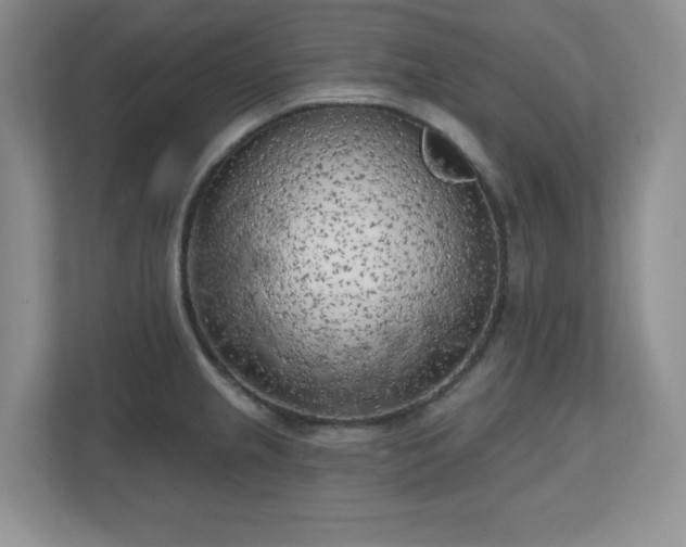 X0000111181237200907011403