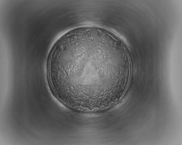 X0000111181239200907011403