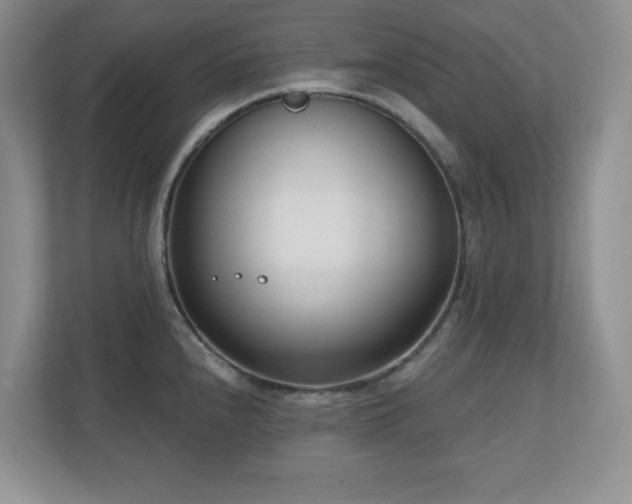 X0000111181240200907011403