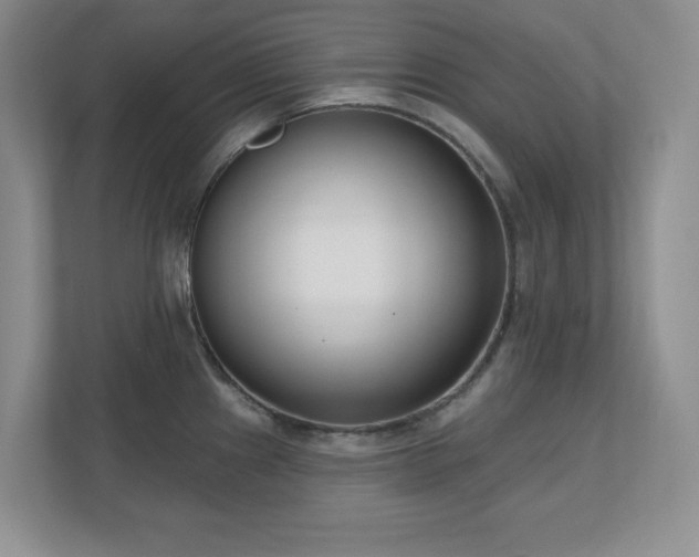 X0000111181241200907011403
