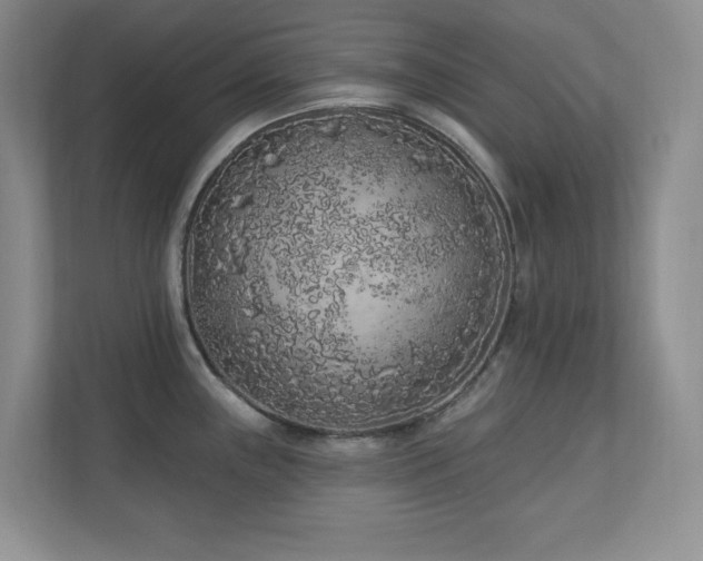 X0000111181243200907011403