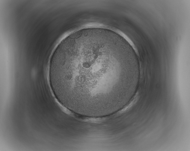 X0000111181245200907011403