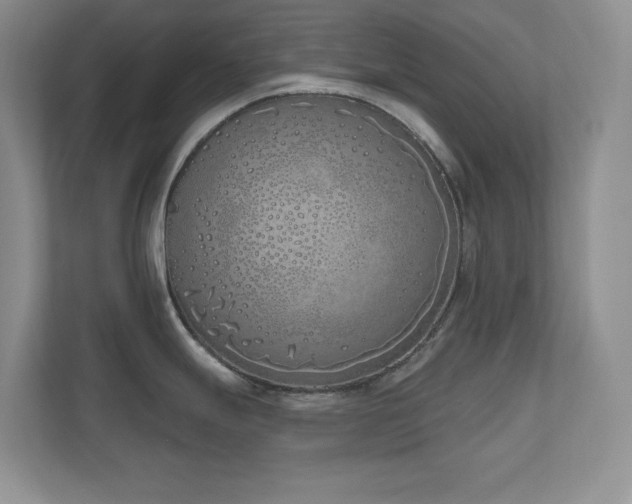 X0000111181247200907011403