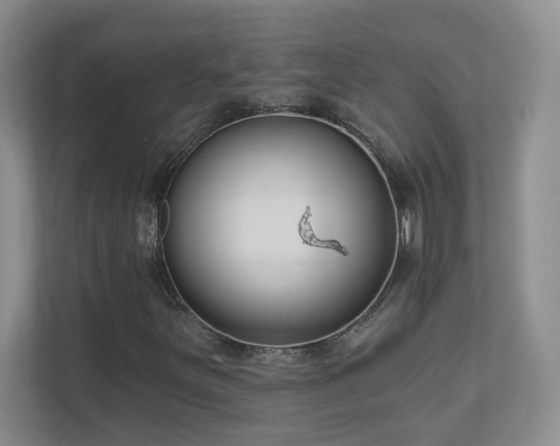 X0000111181251200907011403