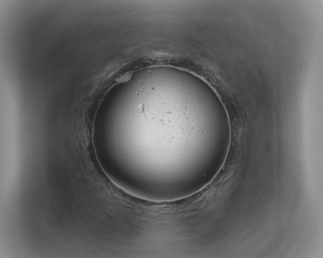 X0000111181253200907011403
