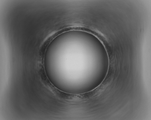 X0000111181255200907011403