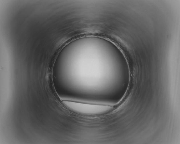 X0000111181257200907011403