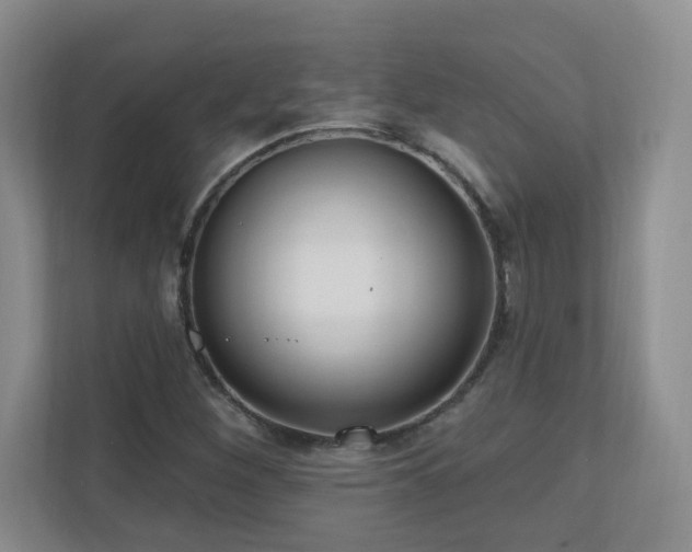 X0000111181260200907011402