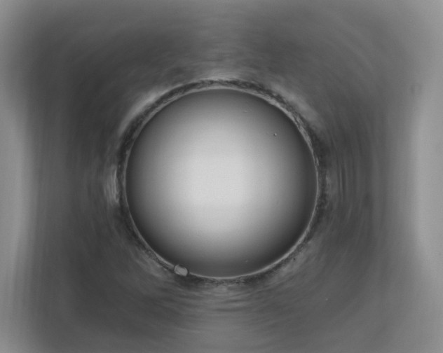 X0000111181262200907011402