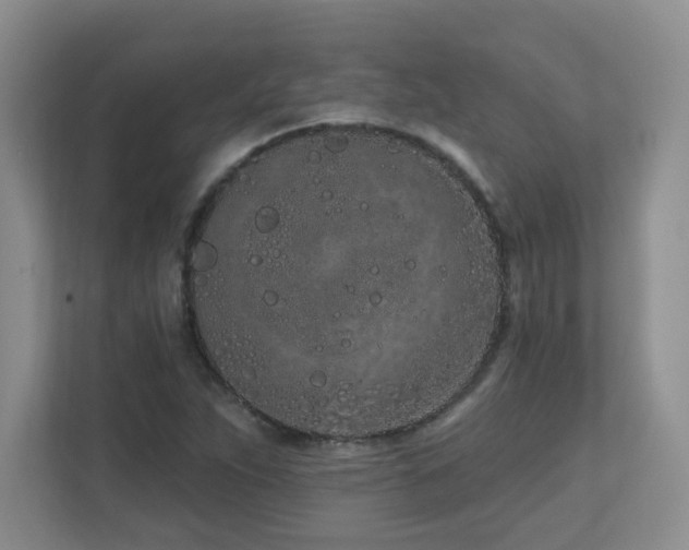 X0000111181263200907011402