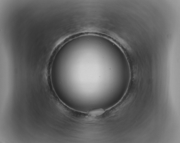 X0000111181264200907011402