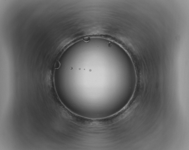 X0000111181265200907011402
