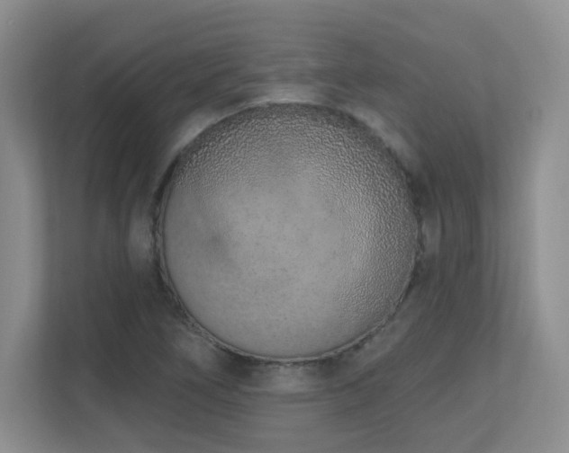 X0000111181266200907011402