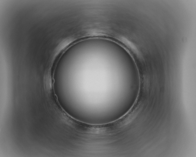X0000111181269200907011402