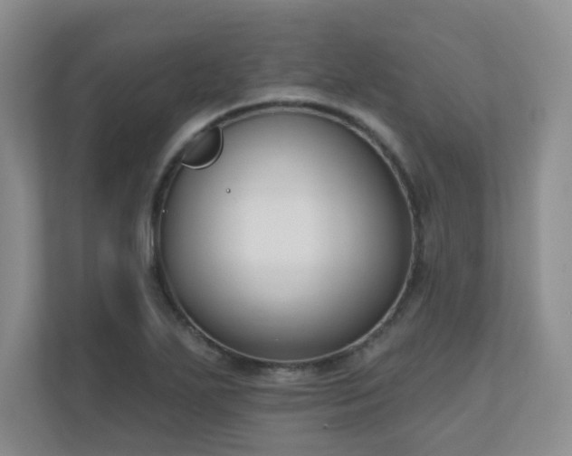 X0000111181271200907011402