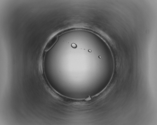 X0000111181272200907011402