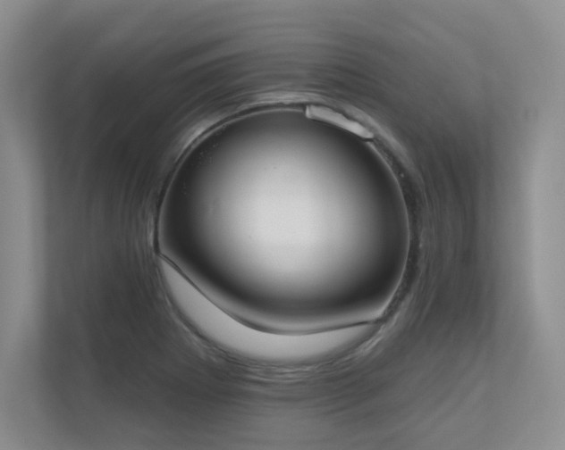X0000111181273200907011402