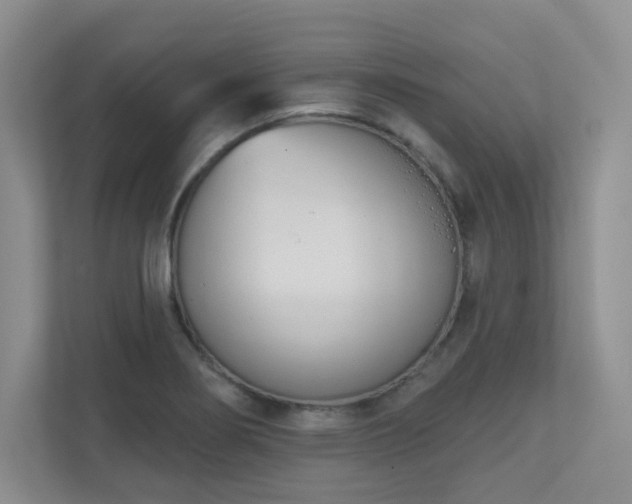 X0000111181274200907011402