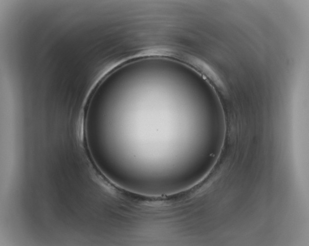 X0000111181276200907011402