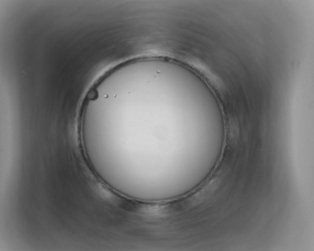 X0000111181278200907011402