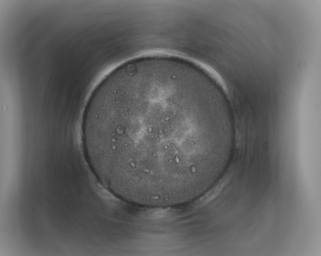 X0000111181279200907011402