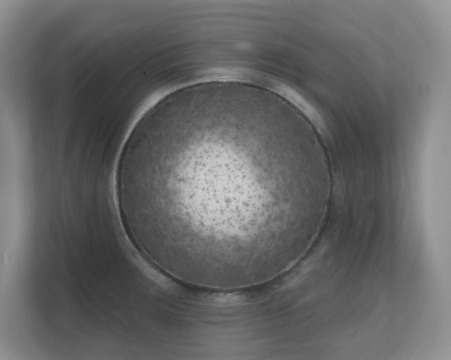 X0000111181283200907011402