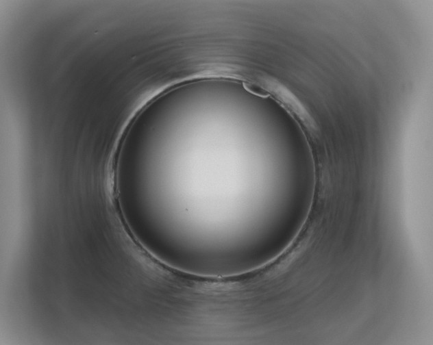 X0000111181284200907011402