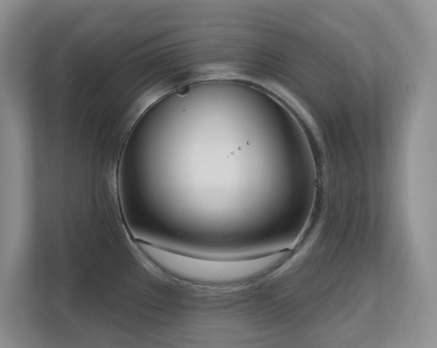 X0000111181289200907011402