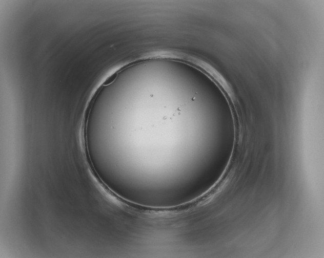 X0000111181293200907011402