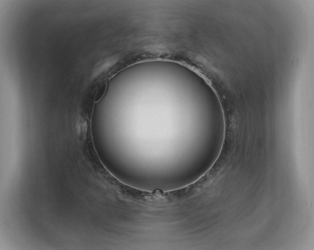 X0000111181302200907011401