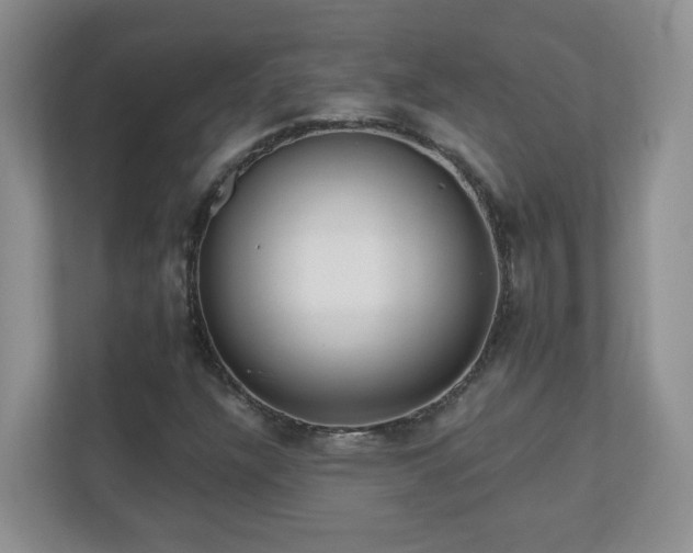 X0000111181304200907011401