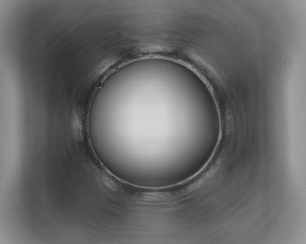 X0000111181305200907011401