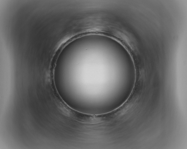 X0000111181308200907011401