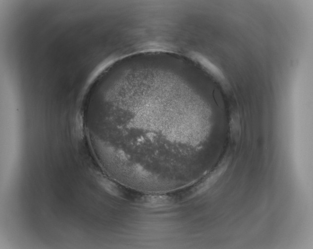 X0000111181310200907011401