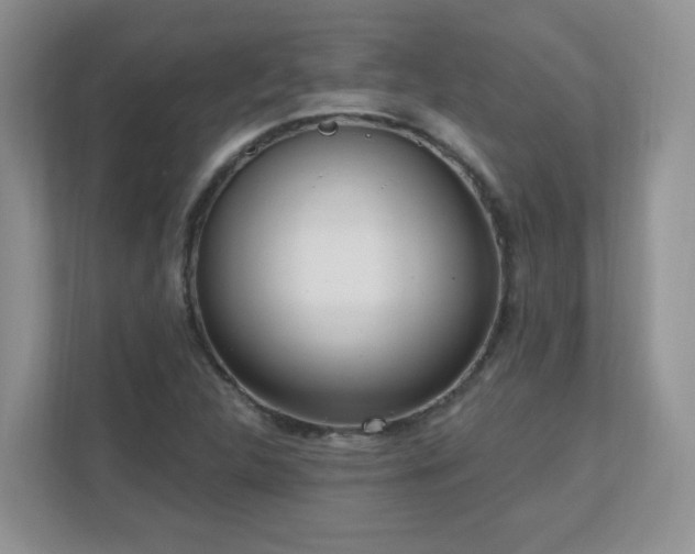 X0000111181312200907011401