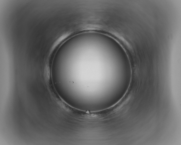 X0000111181317200907011402